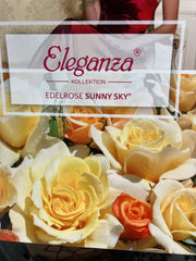Edelrose 'Sunny Sky'