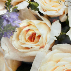 Beetrose 'Lions-Rose'