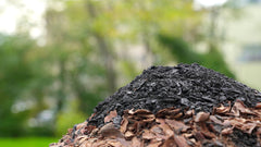 Pure Pflanzenkohle aus Kakaoschalen