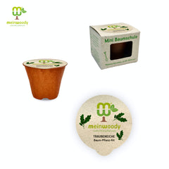 Traubeneiche Baum-Pflanz-Set – Quercus petraea selbst pflanzen