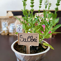 Biodegradable Plant Labels (10 pieces)