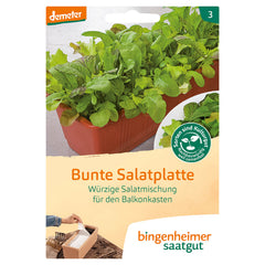 Bunte Salatplatte Bio-Gemüse-Saatgut