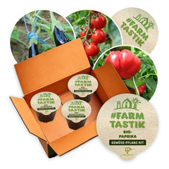 Farmtastik - 3 x Gemüse-Pflanz-Kits