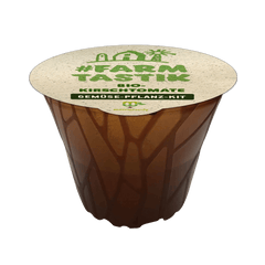 Farmtastik - 3 x Gemüse-Pflanz-Kits