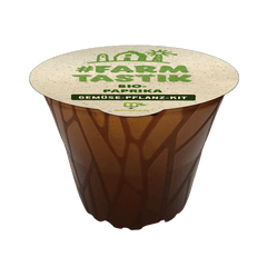 Farmtastik - 3 x Gemüse-Pflanz-Kits