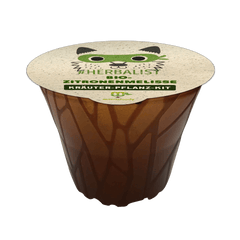 Herbalist - 3 x Kräuter-Pflanz-Kits