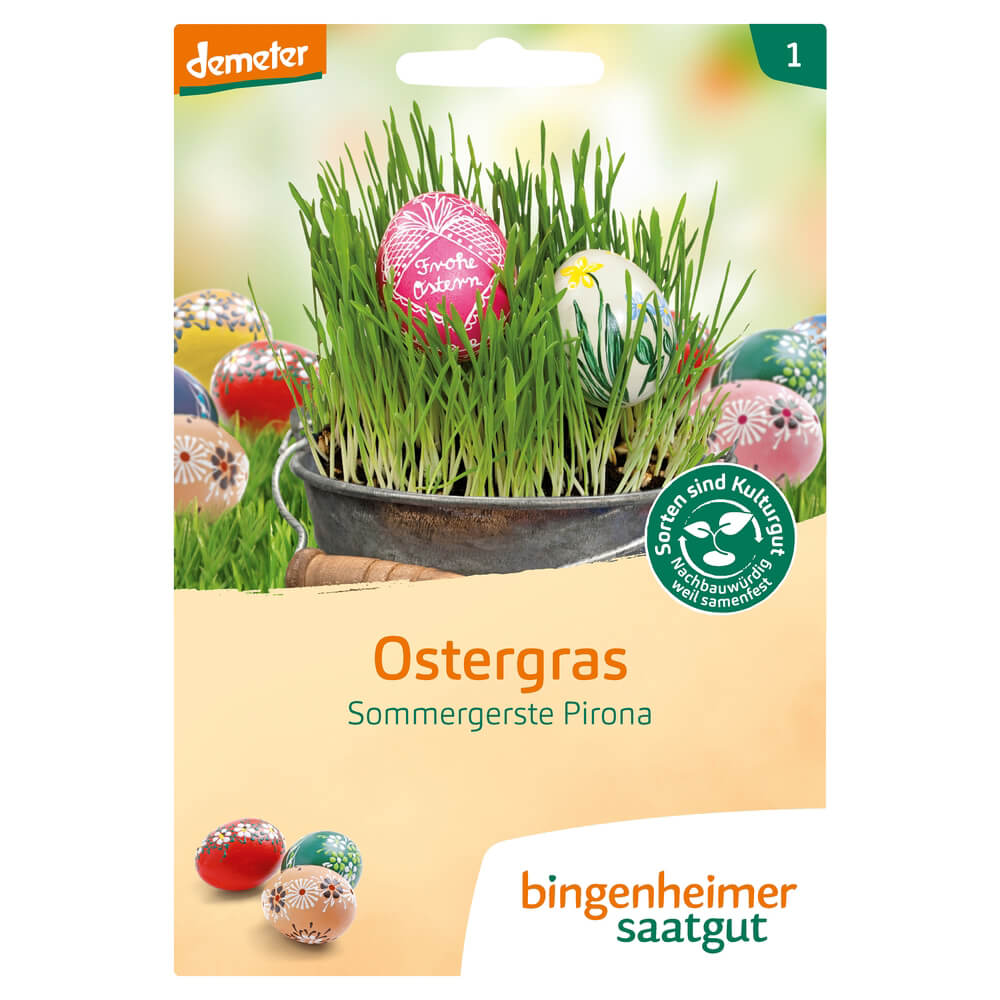 Ostergras Bio-Blumen-Saatgut