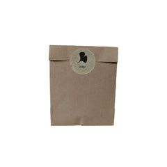 Ginkgo Baum-Pflanz-Set – Ginkgo biloba selbst pflanzen