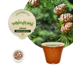 Waldmeister – 3 x Baum-Pflanz-Set (Sanddorn, Lebensbaum & Lärche)