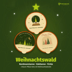 Weihnachtswald: 3 Baum-Pflanz-Sets mit Nordmanntanne, Edeltanne und Fichte und drei Weihnachtsdeckeln