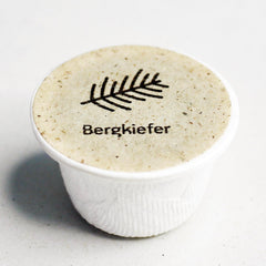 Bergkiefer Baum-Samen