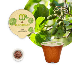 Erle Baum-Pflanz-Set – Alnus glutinosa selbst pflanzen