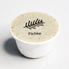 Fichte Baum-Samen