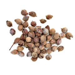 Winter Linden Tree Planting Set – Plant Tilia cordata yourself