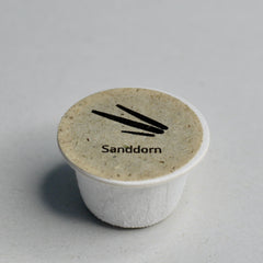 Sanddorn Samen