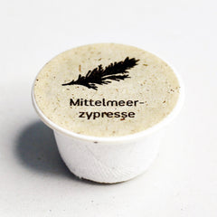 Mittelmeerzypresse Baum-Samen