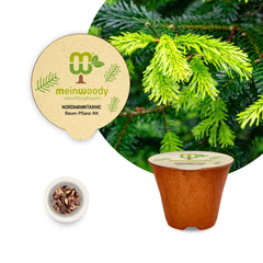 Nordmann Fir Tree Planting Set – Plant Abies nordmanniana yourself