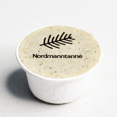 Nordmanntanne Baum-Samen