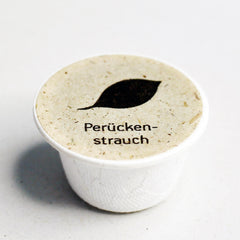 Perückenstrauch Samen