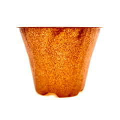 Plastic-Free Plant Pot Plenta - 6 cm - 50 Pieces
