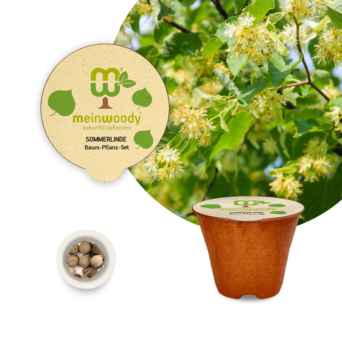 Sommerlinde Baum-Pflanz-Set mit Sommerlinde-Samen, Plenta®-Topf und Erde