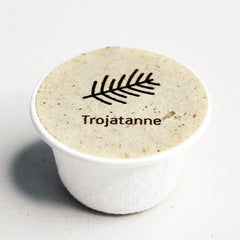 Troja-Tanne Baum-Samen