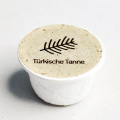 Türkische Tanne Baum-Samen