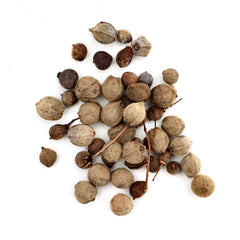Sommerlinde Baum-Pflanz-Set – Tilia platyphyllos selbst pflanzen