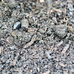 Terra Preta Pflanzenkonzentrat - Pflanzenerde