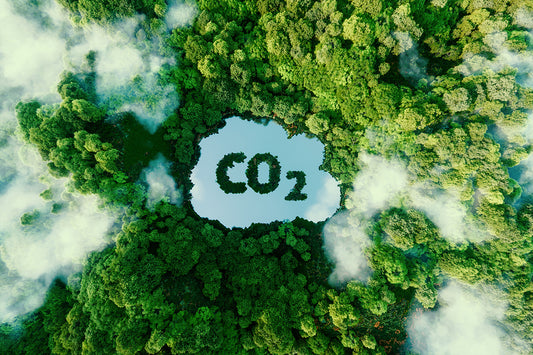 WIE SICH 2024 DIE CO2 STEUER AUSWIRKT - UND WAS DAS BEDEUTET