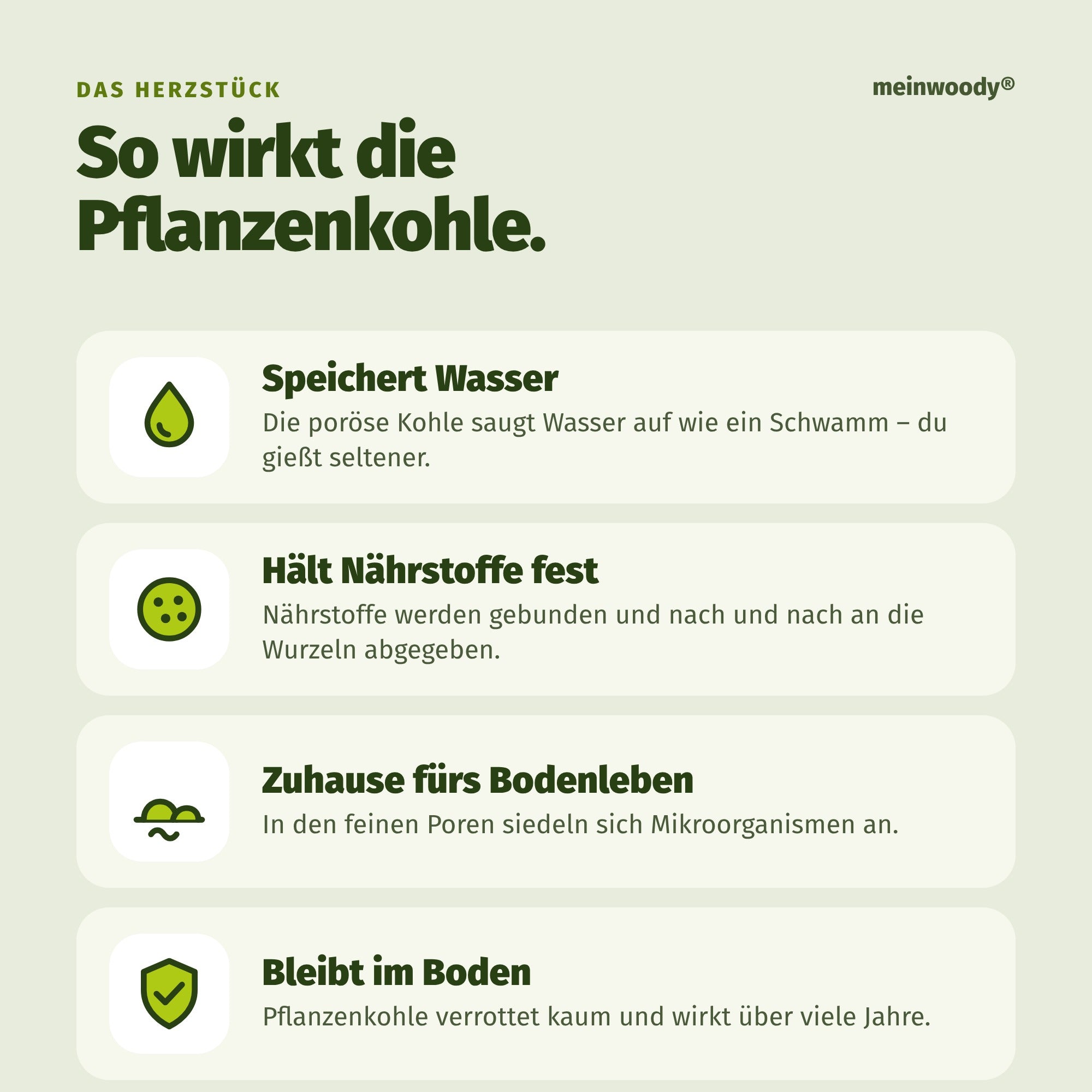 So wirkt die Pflanzenkohle in Terra Preta: speichert Wasser und Nährstoffe