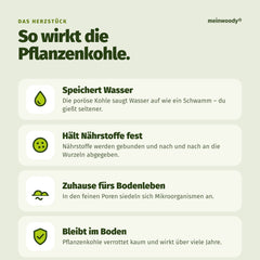 So wirkt die Pflanzenkohle in Terra Preta: speichert Wasser und Nährstoffe