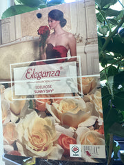 Edelrose 'Sunny Sky`Eleganza