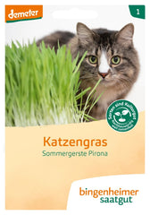 Katzengras Bio-Blumen-Samen
