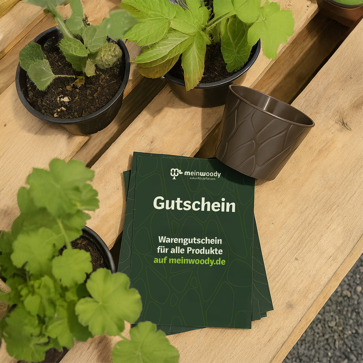 Meinwoody Gutschein