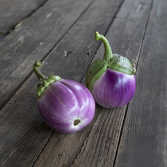Aubergine Lea (AS) Bio-Gemüse-Samen