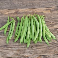 Buschbohne Saxa Bio-Gemüse-Samen