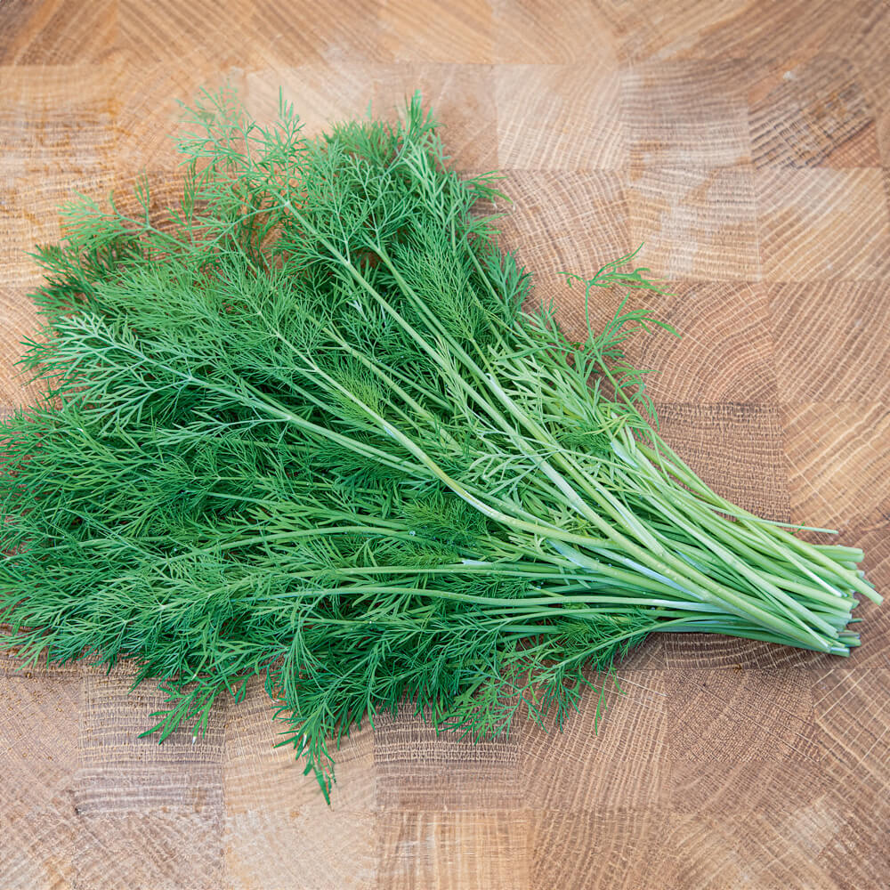 Dill Bio-Kräuter-Saatgut