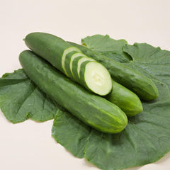 Landgurke Bio-Gemüse-Samen