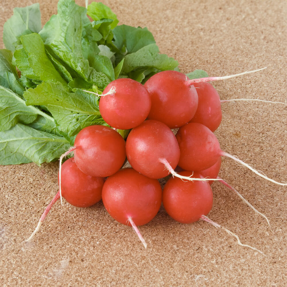 Radies Marike Bio-Gemüse-Samen