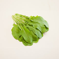 Salatrauke Bio-Gemüse-Saatgut