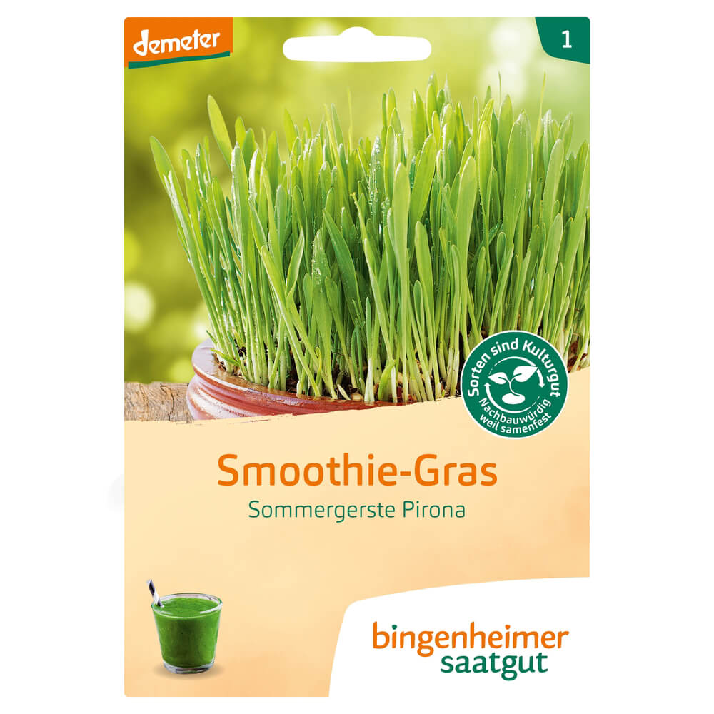 Smoothie-Gras Bio-Gemüse-Saatgut