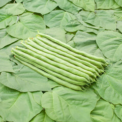 Stangenbohne Bio-Gemüse-Samen