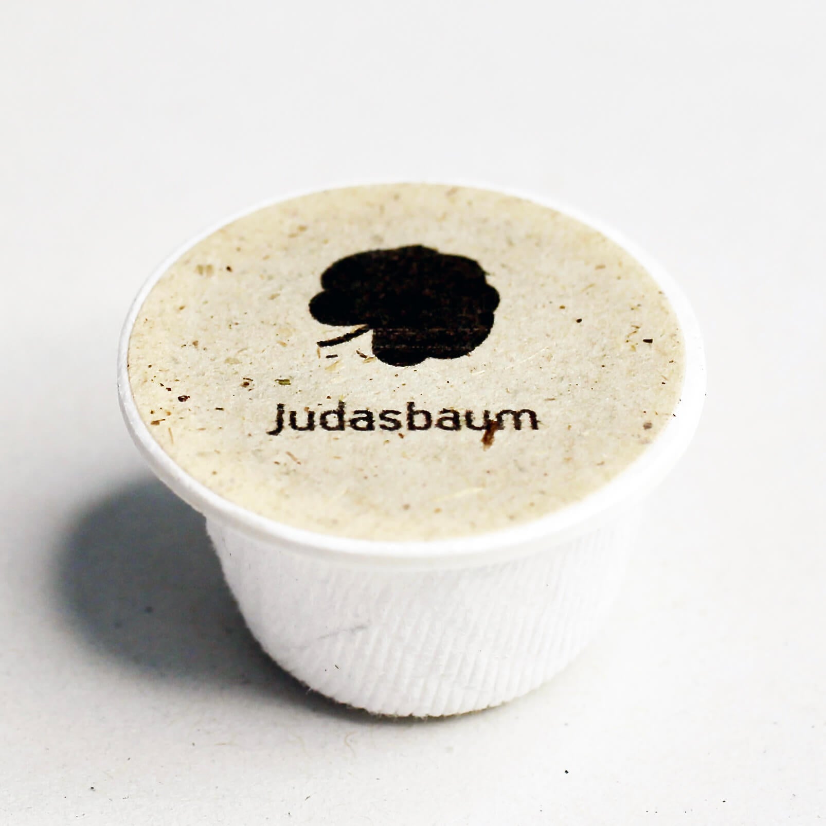 Judasbaum Baum-Saatgut