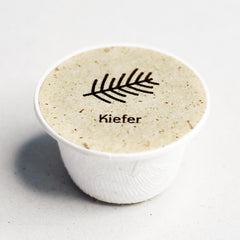 Kiefer Baum-Samen