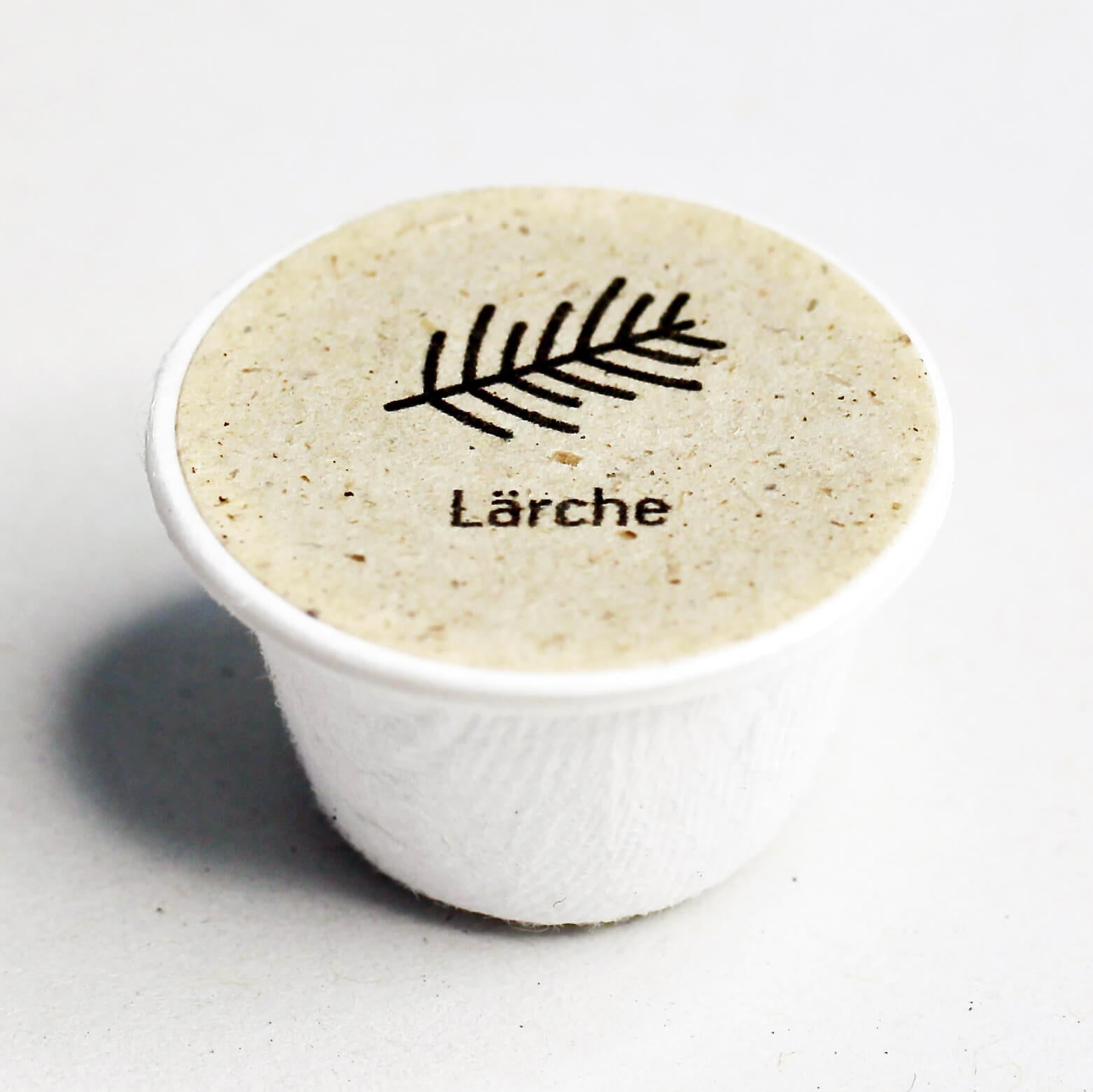 Lärche Baum-Samen