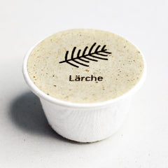 Lärche Baum-Samen