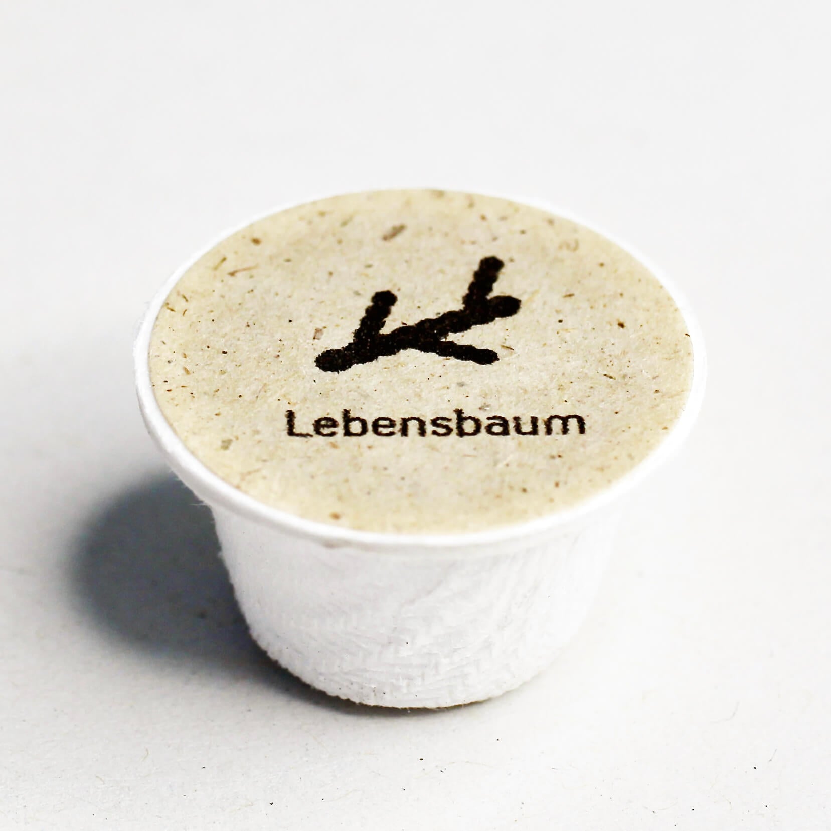 Lebensbaum Samen kaufen – Thuja Forst-Saatgut für Hecken