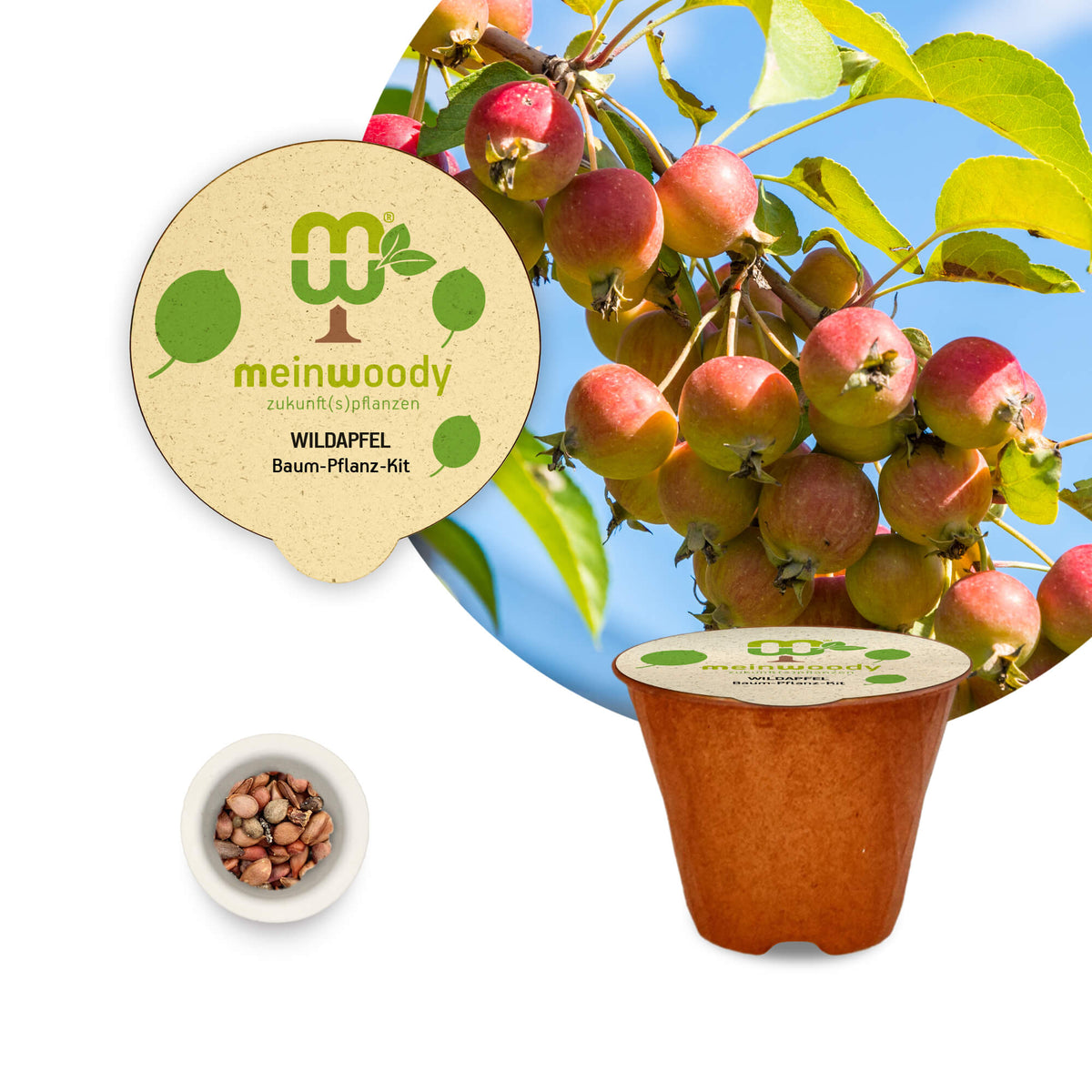 Wildapfel Baum-Pflanz-Kit