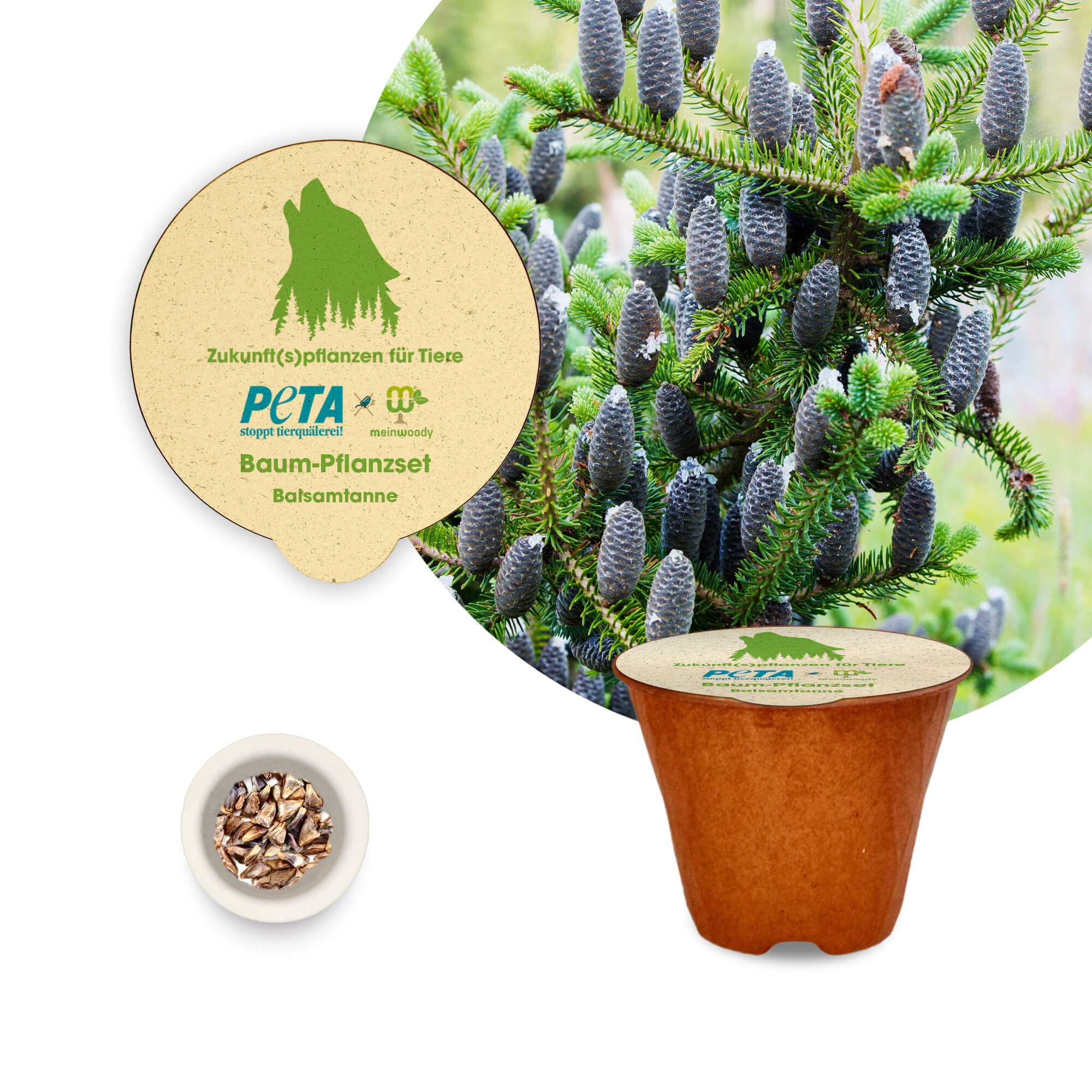 PETA Baum-Pflanz-Kit